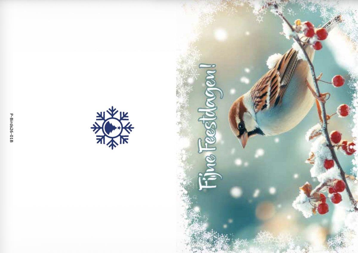 Kerstkaarten box Birds 3