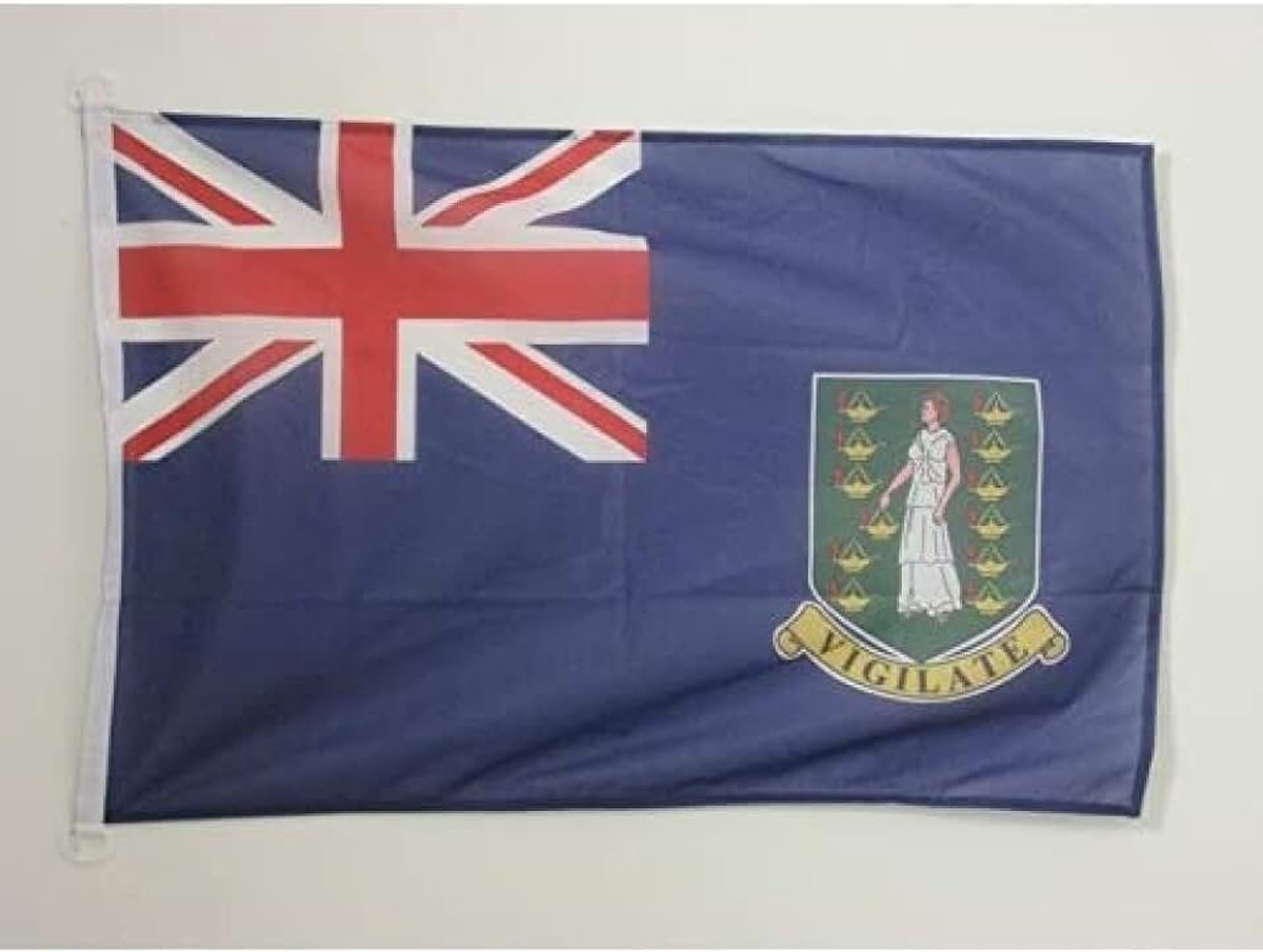 Virgin Islands Flag - 2x3 Ft - For Outdoor - Virgin Islander Banner Knitted Polyester with Two Plastic Rings - Fade Resistant - Vivid Colors - 2' x 3' Feet - 90x60 Cm