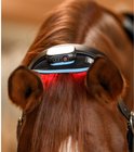 Zwart bedieningspaneel op een flexpad op de nek van een bruin paard met rood infraroodlicht.