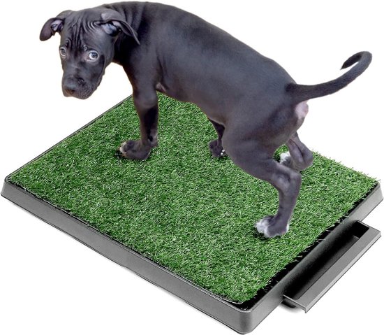 Hondentoilet met Kunstgras 63 x 51 cm – Puppy Toilet met Opvangbak – Herbruikbare Plasmat – Wasbaar en Waterdoorlatend – Zindelijkheidstraining voor Kleine en Middelgrote Honden