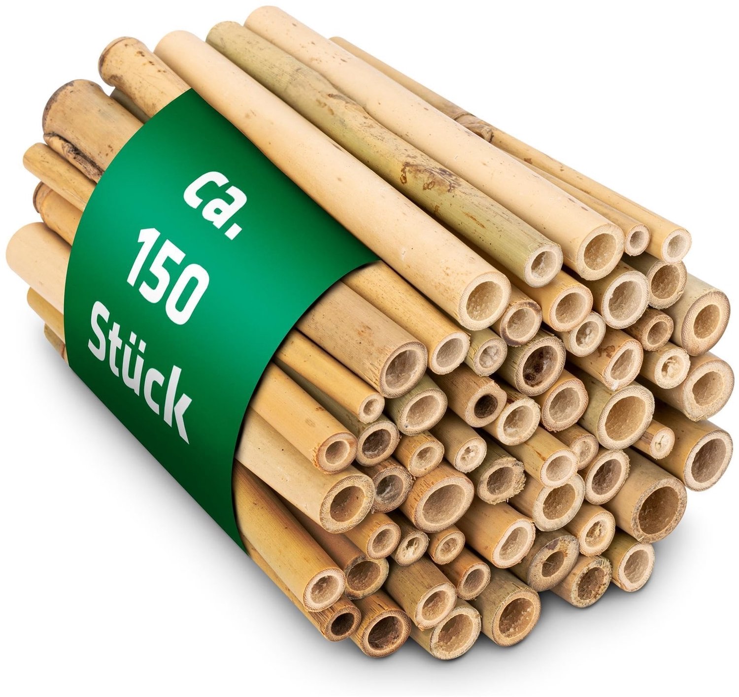 Bamboebuis - 150 stuks - 12,5 cm - Bamboe