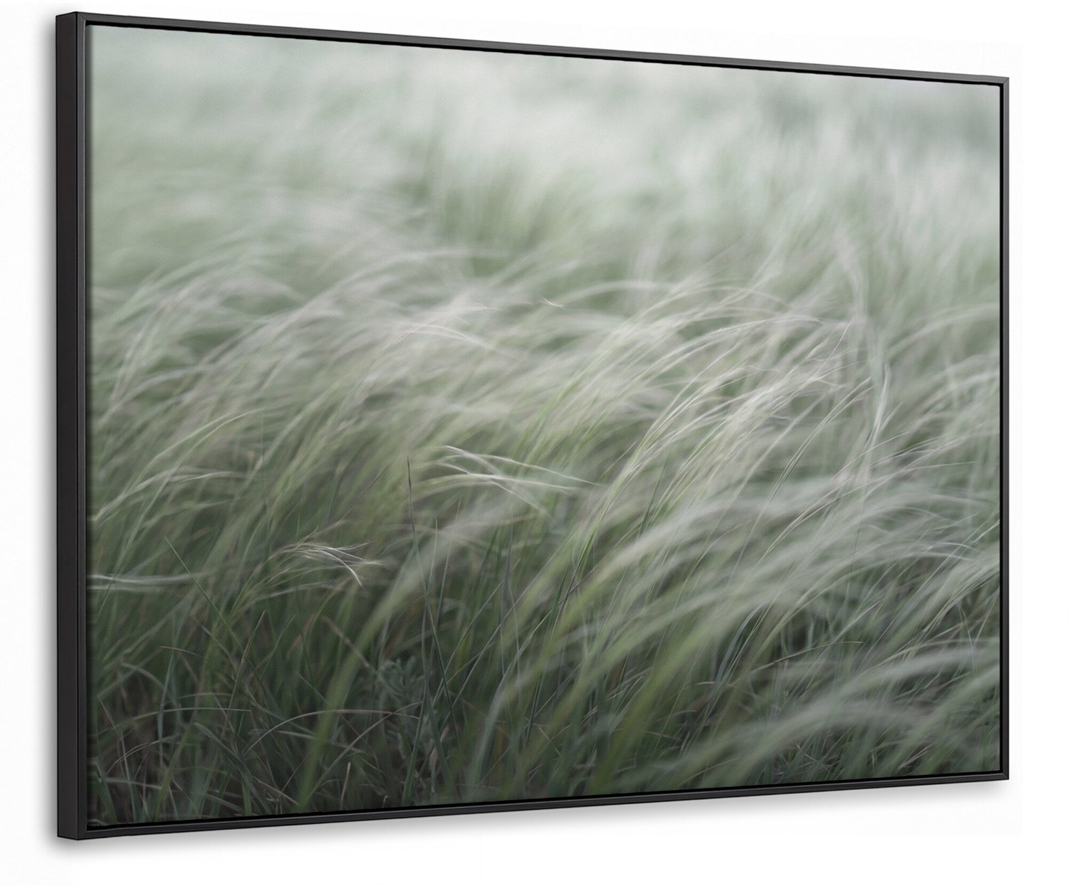 Canvas Schilderij met Baklijst - Gras - Wazig - Natuur - Groen - Zacht