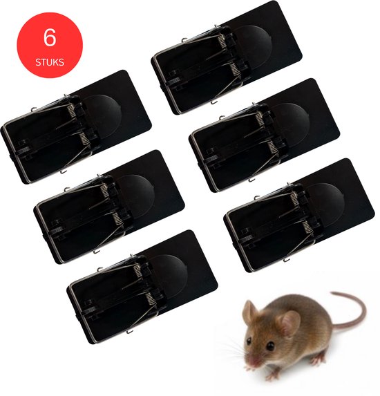 Zes zwarte muizenvallen en een muis, met de tekst 6 STUKS in een rode cirkel.