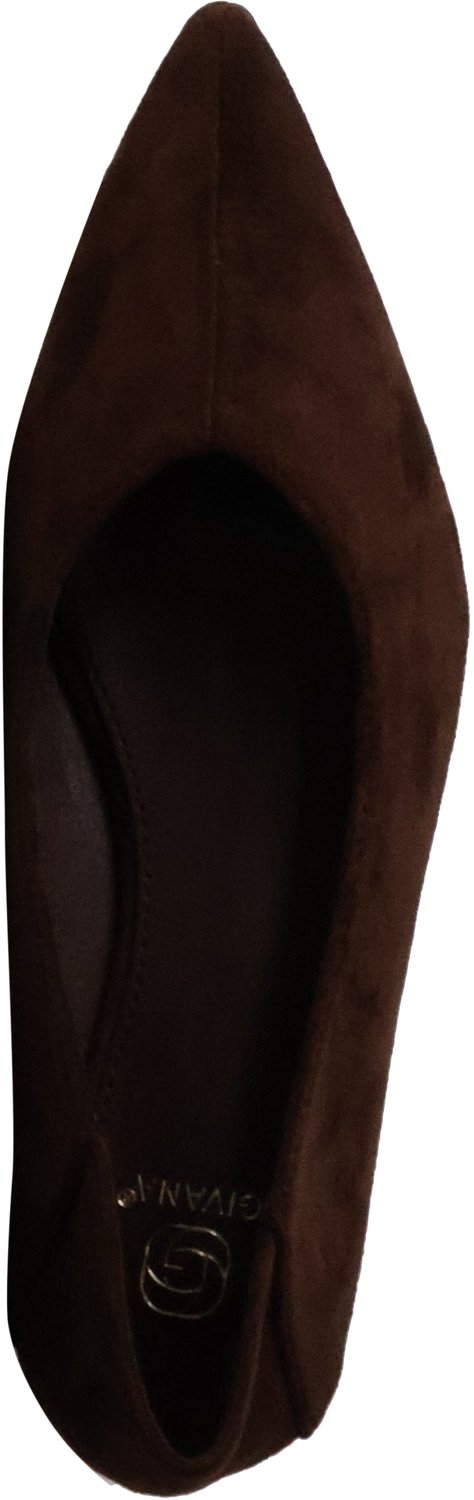 Ballerinaschoenen om aan te trekken