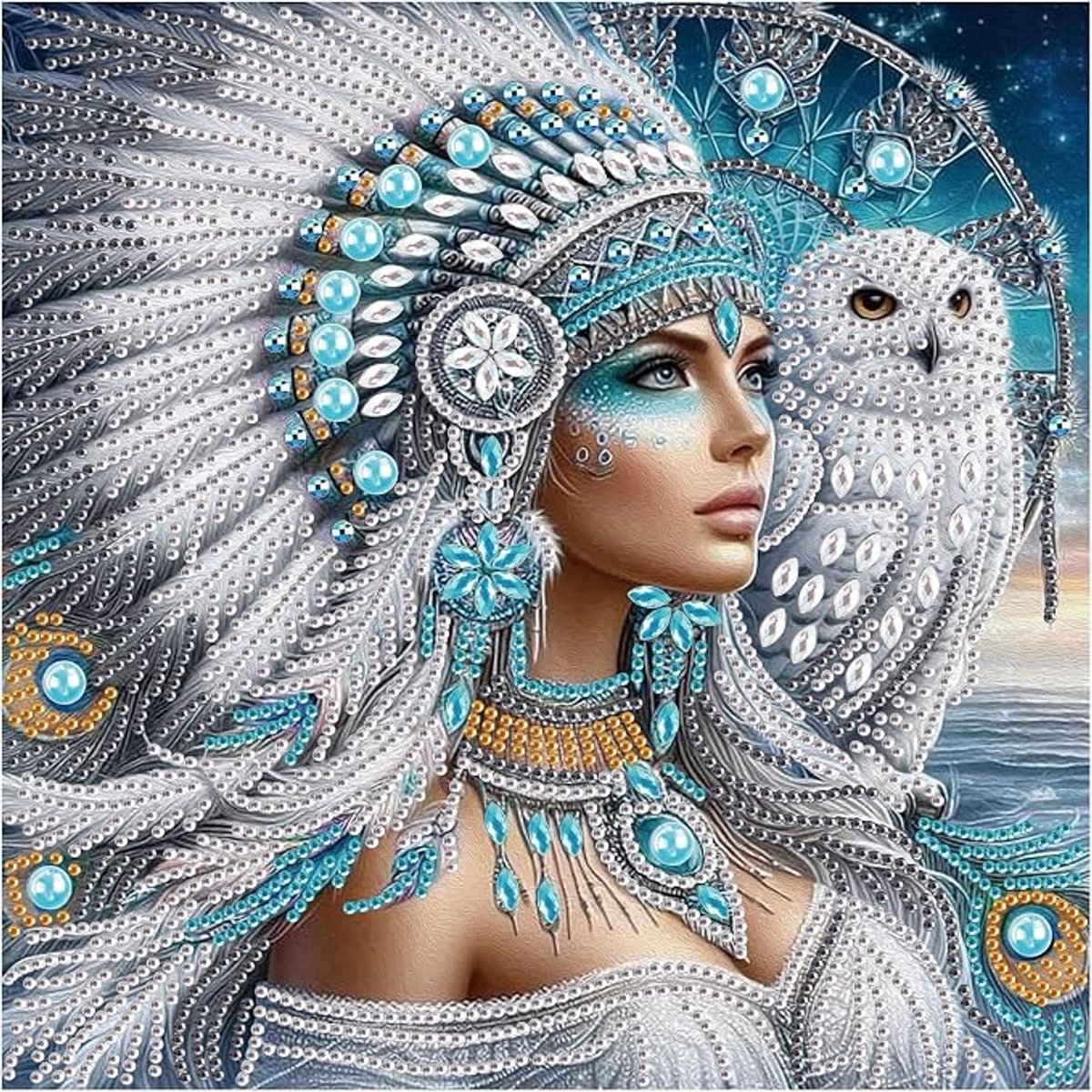TOPMO- Indiaanse Prinses & Sneeuwuil - 40 x 50 CM - Diamond painting pakket - HQ Diamond Painting - VOLLEDIG dekkend - Diamant Schilderen - voor Volwassenen – ROND