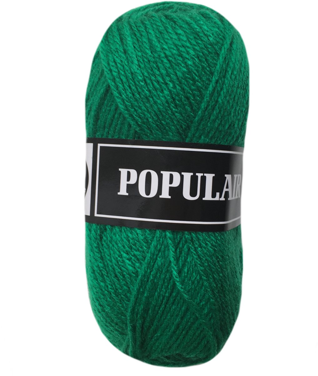 Beijer Populair acryl garen - kerst groen (95) - 1 bol haakgaren/breigaren - naald 3,5 a 4mm