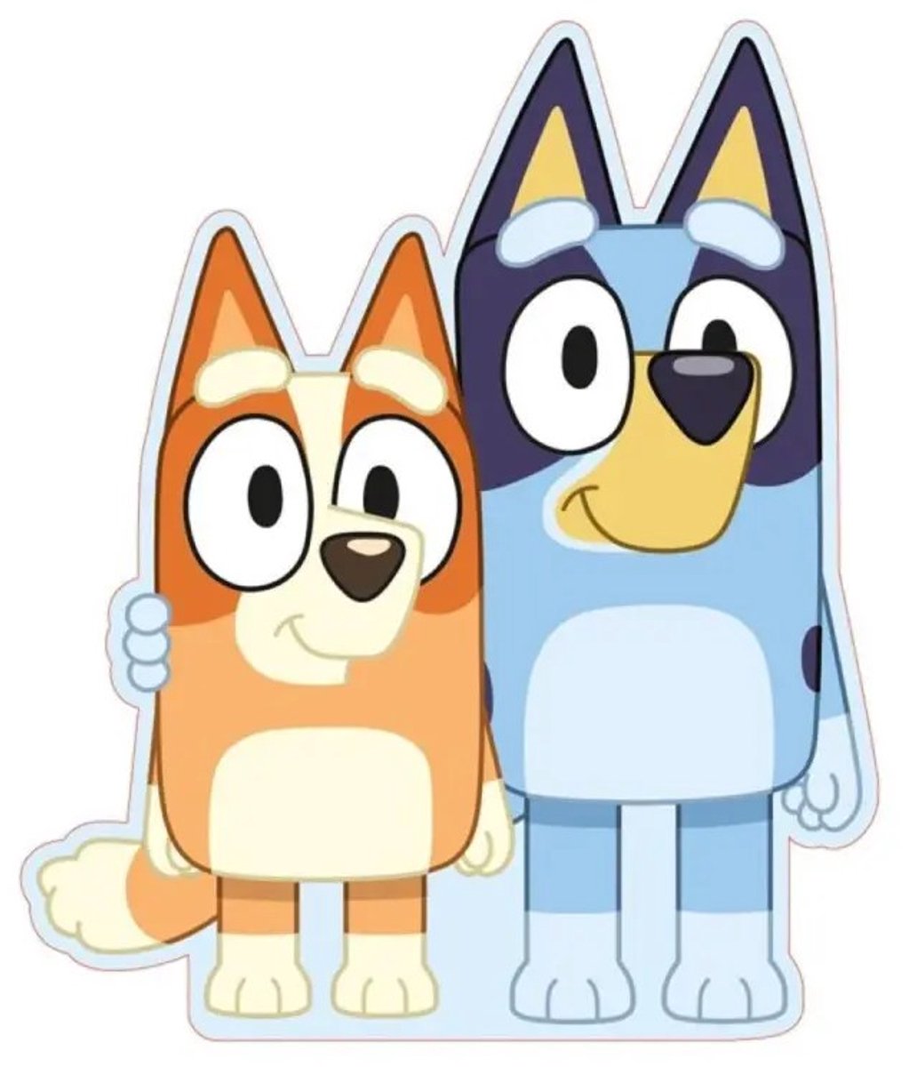 Bluey sierkussen 28 x 34 cm