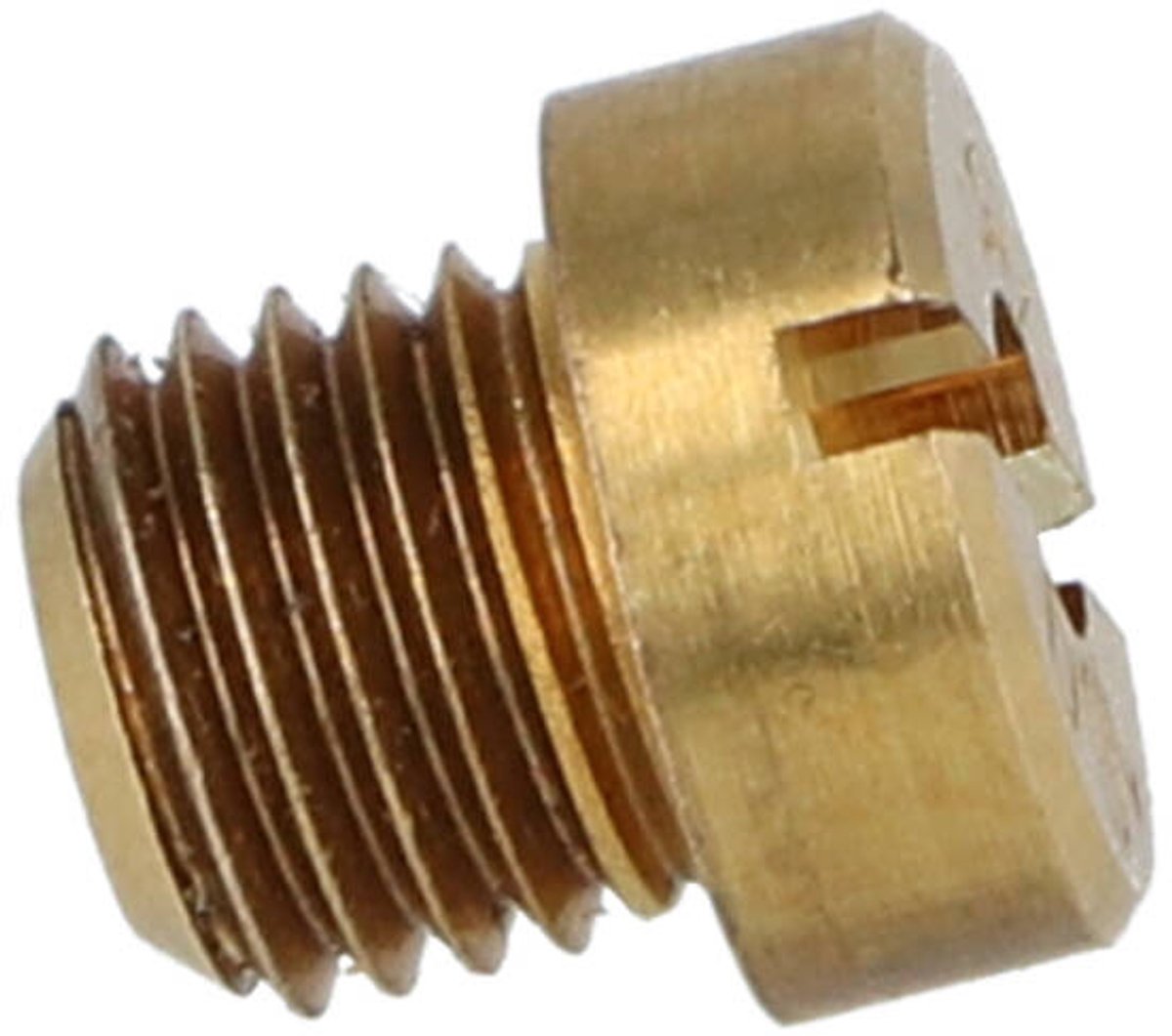 sproeier dellorto groot 6mm 195