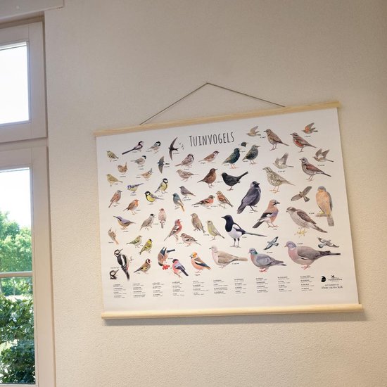 Affiche murale illustrant divers oiseaux de jardin avec le texte 'TUINVOGELS', suspendue à une barre en bois.