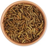 Eiwitrijke gedroogde insectenmix 1kg