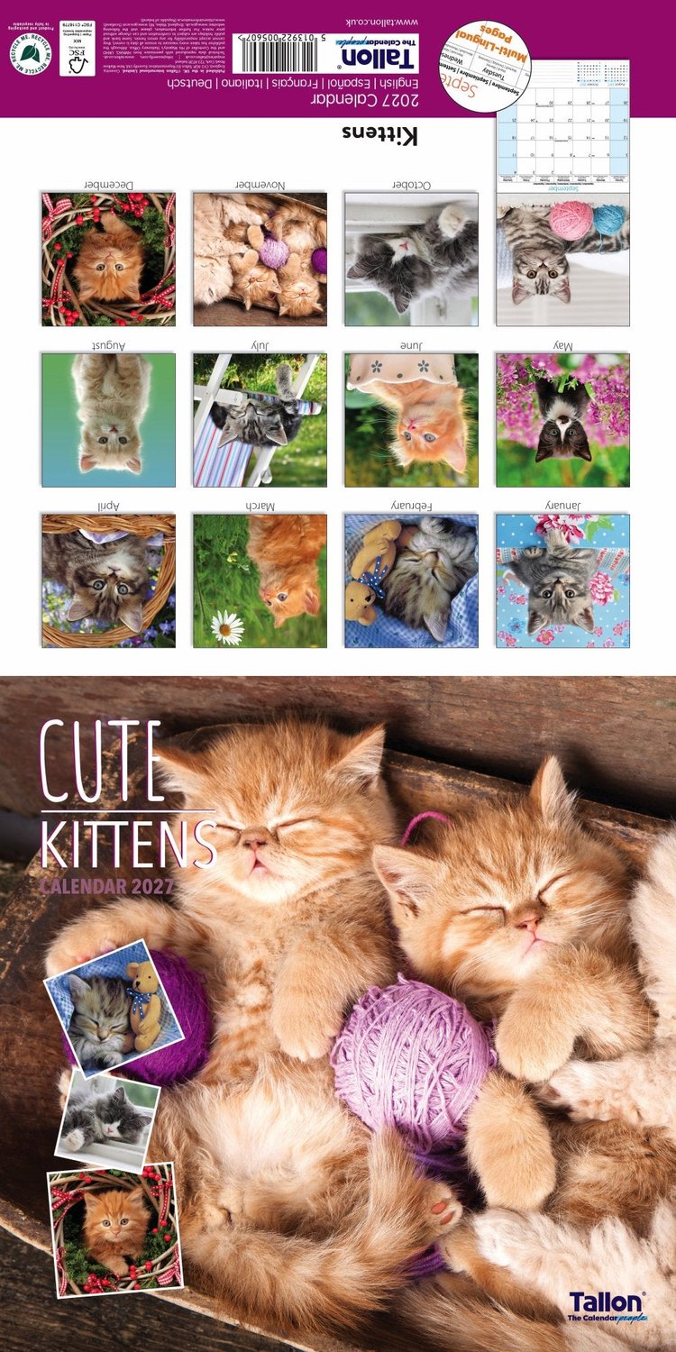 Kittens and Puppies Kalender 2027