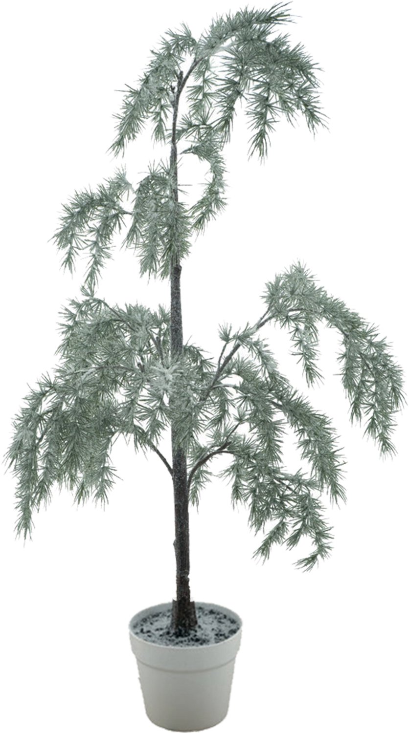 by Mooss - Naaldboom White / Green 150 cm - Kunstboom - Kunstplant - Wit - Groen - Decoratief - Landelijk - Stoer - Sober - Natuurlijk - Sfeervol - Trendy - Woondecoratie