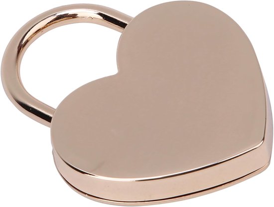 Vintage hangslot-set met sleutel, duurzame metalen knutselaccessoires voor sieradendoosje en bagage, zilver, 1 set (roségoud) — afbeelding 2