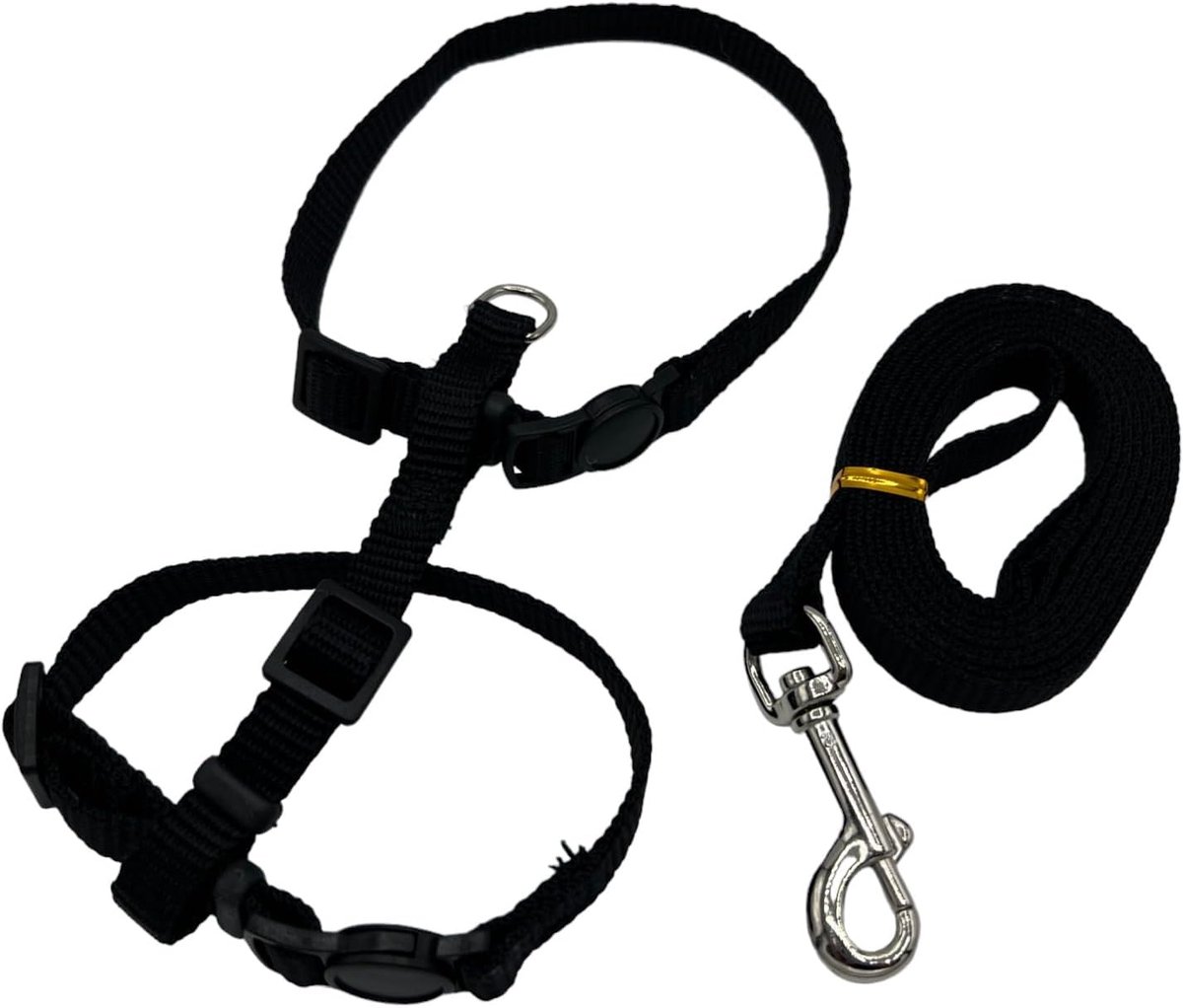 4 in 1 Kattentuigje - Kattentuigje voor Tracker/wandelingen, halsband met/zonder veiligheidssluiting (Zwart, S (2-3kg))
