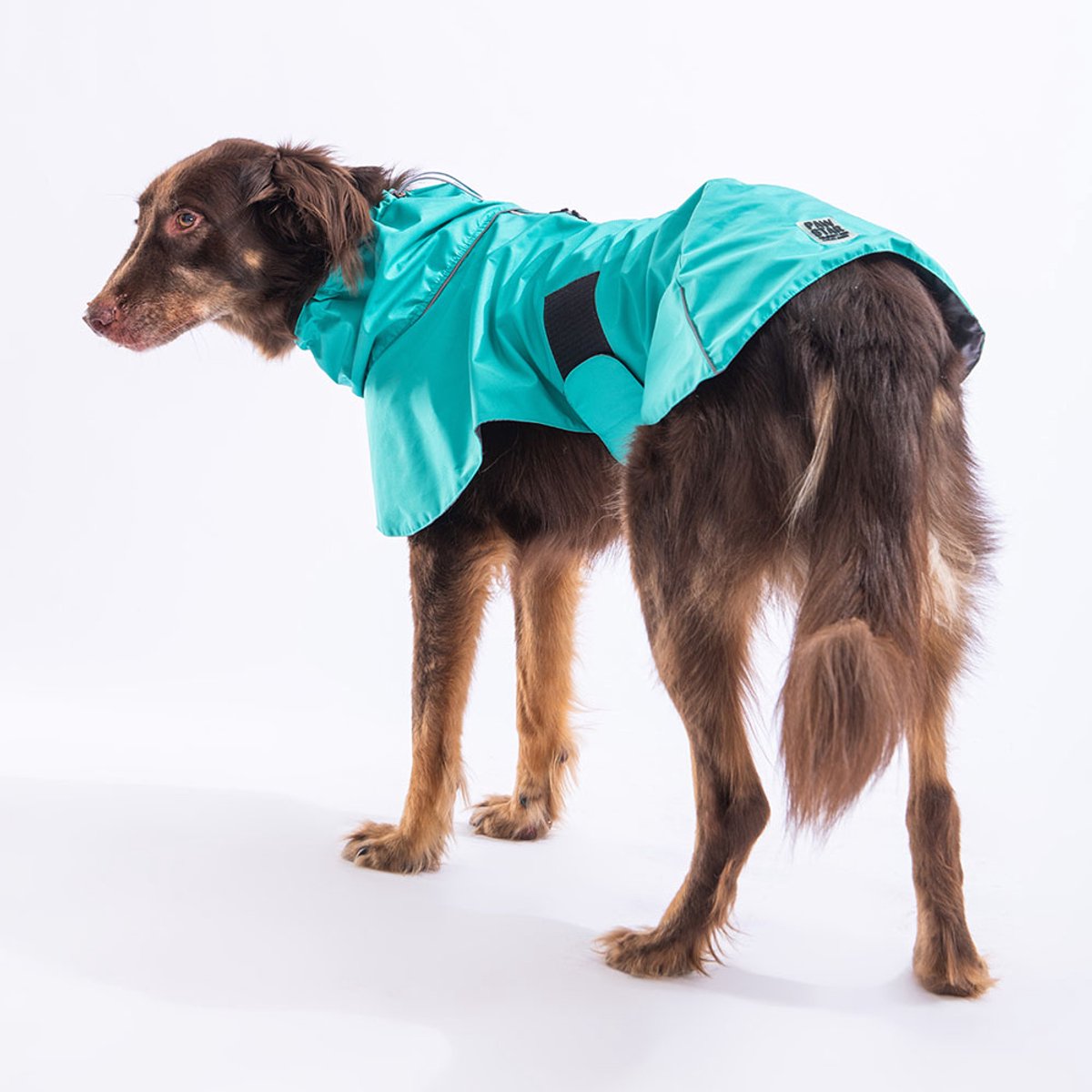 Pawstar Colombia - Hondenregenjas - Mintgroen - L