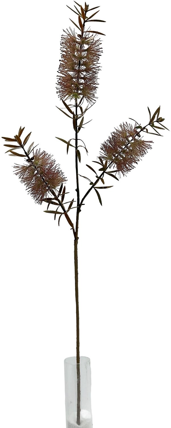 homebound by ky Kunsttak Banksia 75cm roze