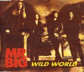 Mr. Big – Wild World