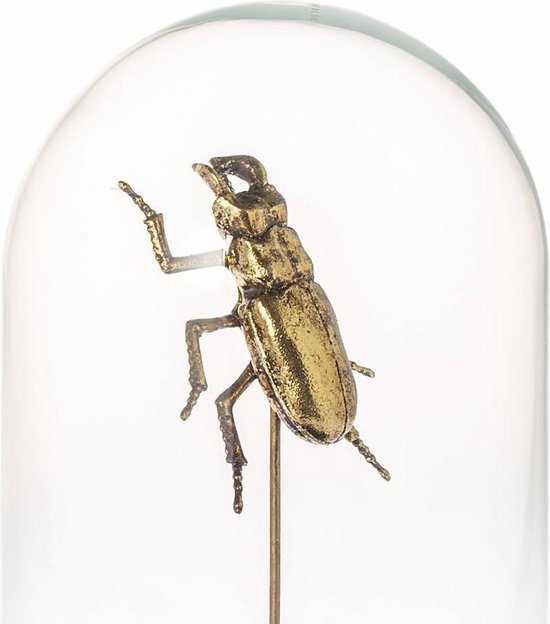Stolp Bug goud 27cm | bol.com