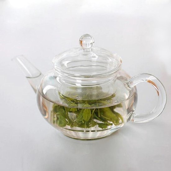 Stap Onafhankelijkheid schuld Glazen theepotje met glazen theefilter en deksel Tea for one theepot |  bol.com