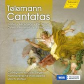 Collegium Vocale Siegen, Hannoversche Hofkapelle, Ulrich Stötzel - Telemann: Cantatas (CD)