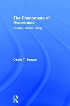 The Phenomena of Awareness
