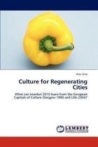 Culture for Regenerating Cities