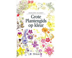 GROTE PLANTENGIDS OP KLEUR
