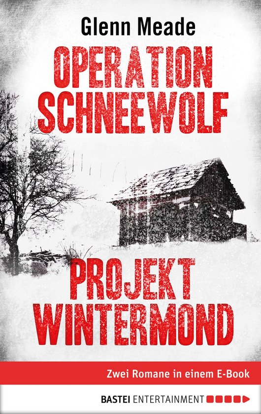 Operation Schneewolf/Projekt Wintermond (ebook), Glenn Meade ...