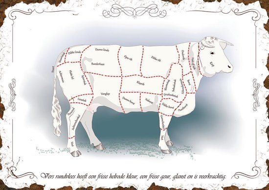 Wandbord 'Uitbeenschema koe'