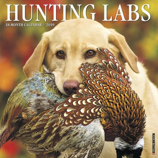 Hunting Labs 2019 Calendar