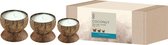 FT 519252 Coconut Candle Set Darjeeling