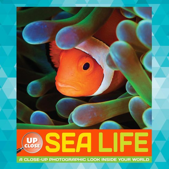Sea Life - cover