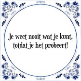 Tegeltje met Spreuk (Tegeltjeswijsheid): Je weet nooit wat je kunt, totdat je het probeert! + Kado verpakking & Plakhanger