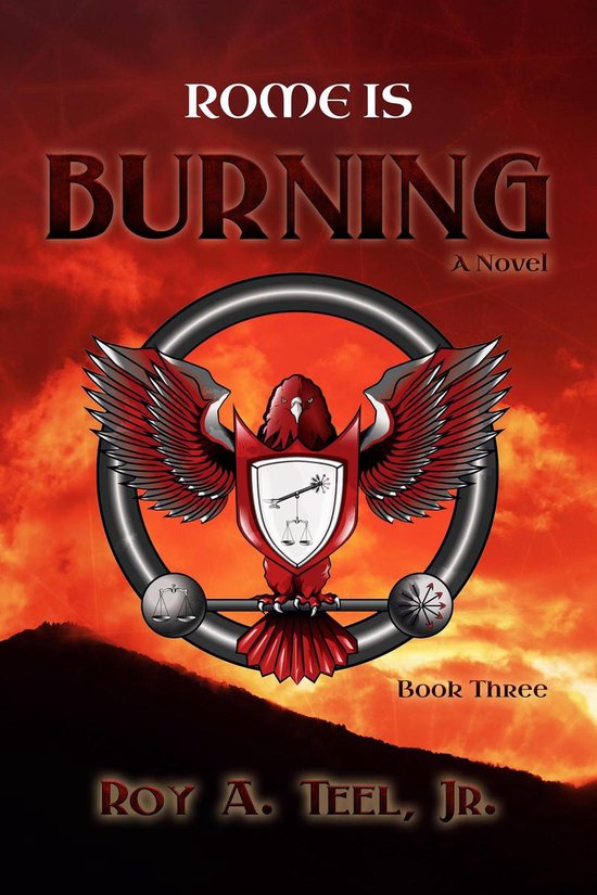 The Iron Eagle 3 - Rome Is Burning: The Iron Eagle Series Bo ... - cover