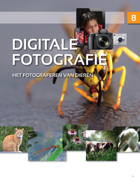 Online Cursus Digitale Fotografie: maak de mooiste foto's en leer  fotograferen in 20... | bol.com
