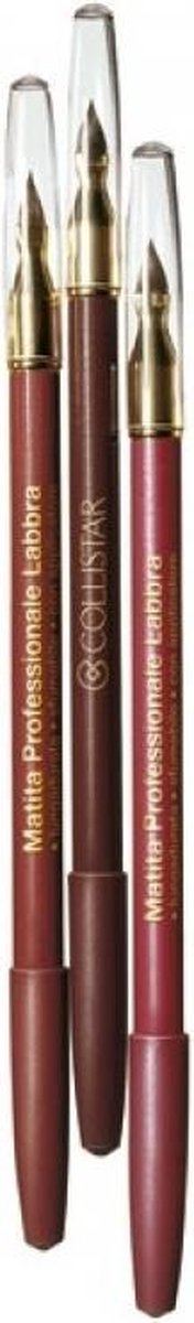 Bol.com Collistar Professional Lip Pencil - 14 Bordeaux - Lippenpotlood aanbieding