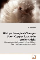 Histopathological Changes Upon Copper Toxicity in Broiler Chicks