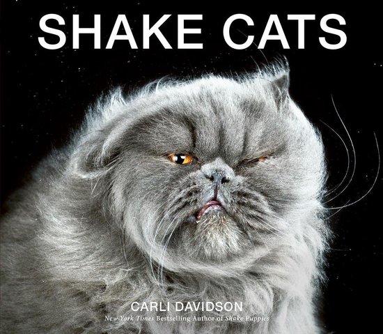Shake Cats - cover