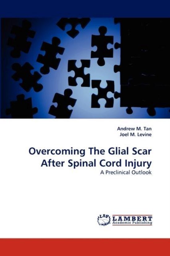 Overcoming The Glial Scar After Spinal Cord Injury | 9783838383781 ...