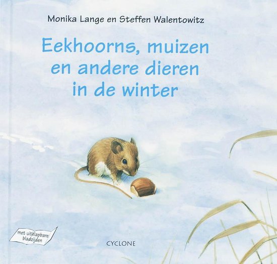 Eekhoorns, Muizen En Andere Dieren In De Winter