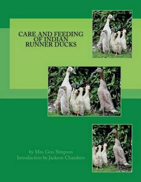 Care and Feeding of Indian Runner Ducks - cover
