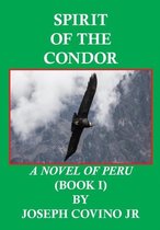 Spirit of the Condor