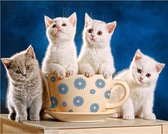Diamond Painting World™ Kittens in een beker – Diamond painting pakket – volledig bedekt – 30x40cm