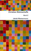 Christian Wahnschaffe Band 2