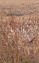Stoppelfelder