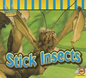 Stick Insects