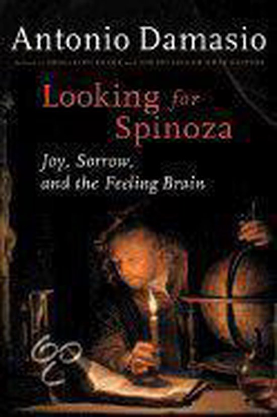 Looking for Spinoza - cover