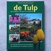 De tulp - Het symbool van zon en voorjaar