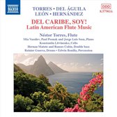Various Artists Nestor Torres - Latin American Flute Music (CD)