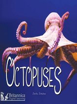 Ocean Animals - Octopuses